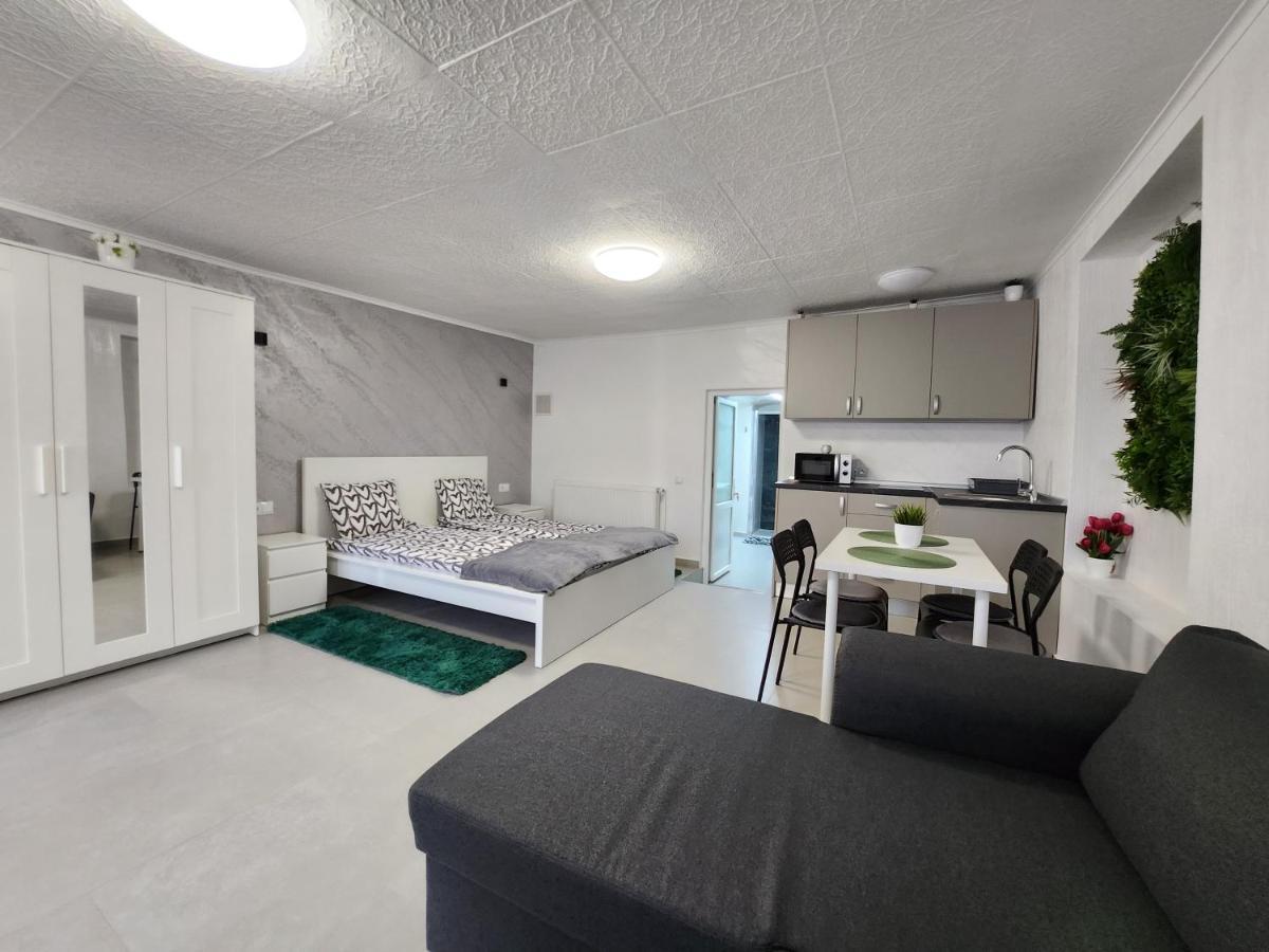 Apartament Dada 锡吉什瓦拉 外观 照片