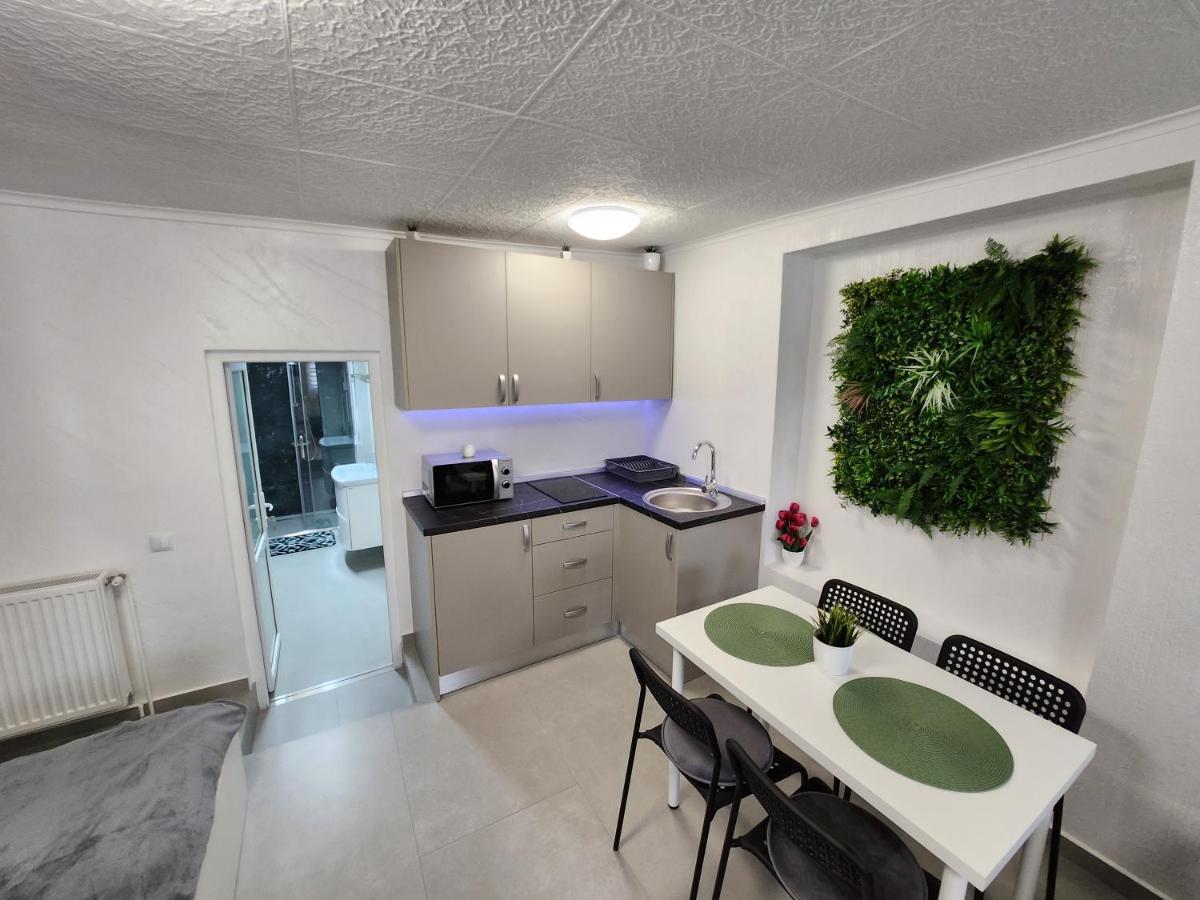 Apartament Dada 锡吉什瓦拉 外观 照片